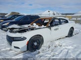 Dodge Charger 2C3CDXCTXLH219388 снимка