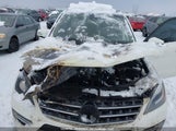 Mercedes-Benz Ml 350 Bluetec 4JGDA2EB1DA111723 снимка