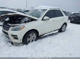 Mercedes-Benz Ml 350 Bluetec 4JGDA2EB1DA111723 снимка