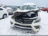 Mercedes-Benz Ml 350 Bluetec 4JGDA2EB1DA111723 снимка