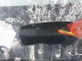 Mitsubishi Lancer JA32V2FW6HU602342 снимка