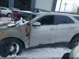 Chevrolet Equinox 2GNFLFE35G6143557 снимка