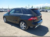 Mercedes-Benz Ml 350 Bluetec 4JGDA2EBXFA575595 снимка