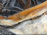 Honda Civic Touring 2HGFE1F96NH001438 снимка