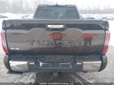 Toyota Tundra Crewmax Platinum/Crewmax 5TFMA5DB0RX167874 fotografie