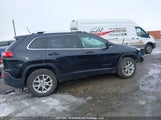 Jeep Cherokee 1C4PJMCB5FW606660 снимка