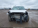 Chevrolet Equinox 2GNFLFEK0H6320170 снимка