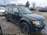 Ford Escape Xlt 1FMCU9DG7BKA23145 снимка