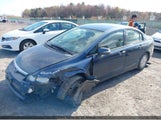 Honda Civic JHMFA36216S800769 fotografie