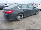 Nissan Altima 1N4AL3AP5GN337940 fotografie
