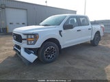 Ford F150 Supercrew 1FTEW1EP7PFC38967 снимка