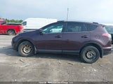 Toyota Rav4 Xle 2T3WFREV4JW437000 снимка