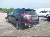 Toyota Rav4 Xle 2T3WFREV4JW437000 снимка