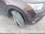 Toyota Rav4 Xle 2T3WFREV4JW437000 снимка