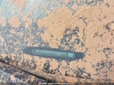 GMC Sierra K1500 Sle 3GTU2MECXJG476484 снимка
