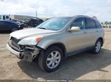 Honda Cr-V Ex-L 5J6RE48798L811480 fotografie