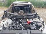 Nissan Sentra Sv 3N1AB8CV2PY294069 снимка