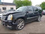 Cadillac Escalade 1GYUKDEF3AR180131 снимка
