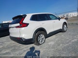 Honda Cr-V Lx 2HKRS4H24SH102938 photo