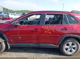 Toyota Rav4 Xle JTMP1RFV1KD037041 снимка
