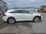 Toyota Venza Le/Xle 4T3BA3BB9FU068761 fotografie