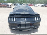 Ford Mustang Gt 1FA6P8CF9M5102013 снимка