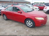 Toyota Camry Ce/Le/Xle/Se 4T1BE46K07U133866 fotografie