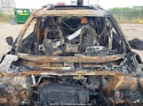 Honda Pilot 5FNYG1H91SB507825 снимка