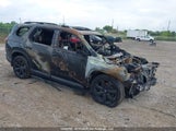 Honda Pilot 5FNYG1H91SB507825 снимка