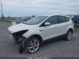 Ford Escape Titanium 1FMCU9J99GUC69471 снимка