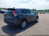 Honda Cr-V Exl 2HKRS4H74RH112469 снимка