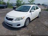 Toyota Corolla S/Le/Xle 2T1BU4EE5AC304585 снимка