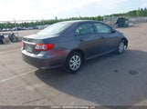Toyota Corolla S/Le 2T1BU4EE8BC622492 снимка