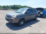 Hyundai Tucson Gls KM8JM12B49U135528 снимка