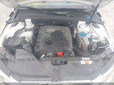 Audi A4 2.0T Premium WAUWFCFL8AA052285 снимка