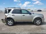 Ford Escape Xlt 1FMCU9DG2AKD03652 fotografie