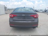 Hyundai Sonata Gls 5NPE24AF0HH441233 снимка
