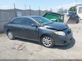 Toyota Corolla S/Le/Xle 2T1BU40E39C099187 photo