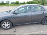 Toyota Corolla S/Le 2T1BU4EE3BC679991 fotografie