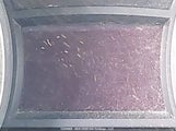 Hyundai Sonata Gl 5NPEB4AC1DH546329 снимка