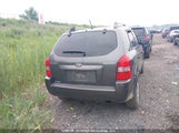 Hyundai Tucson KM8JM12B99U987244 снимка