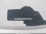 Hyundai Tucson KM8JM12B99U987244 снимка
