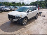 Ford Escape Titanium 1FMCU9J98HUD97475 fotografie