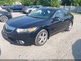 Acura Tsx JH4CU2F61BC800427 fotografie
