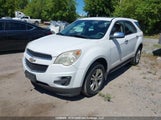 Chevrolet Equinox Ls 2GNFLCEKXC6244299 fotografie