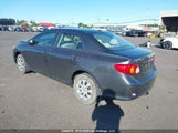 Toyota Corolla S/Le/Xle 2T1BU4EE4AC191874 снимка