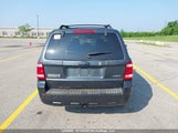 Ford Escape Xlt 1FMCU93128KB79812 снимка