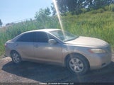 Toyota Camry Ce/Le/Xle/Se JTNBE46K273089620 photo