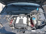 Audi S4 Premium Plus WAUBGCFL3DA162421 снимка