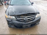 Acura Tsx JH4CL96806C802771 снимка